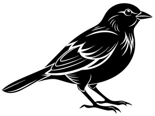 set of silhouettes of birds Vector, isolated black silhouette bird bundle
