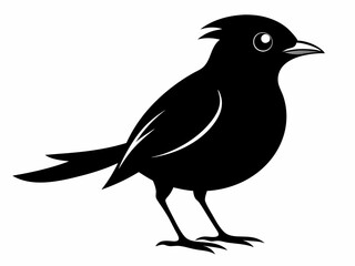 set of silhouettes of birds Vector, isolated black silhouette bird bundle
