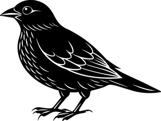 set of silhouettes of birds Vector, isolated black silhouette bird bundle
