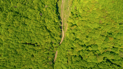 Picturesque Carpathian mountains in summer. Drone photo.