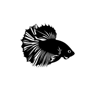 recommend clip art: illustration logo of minimalist outline of a betta fish