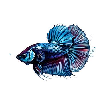 recommend clip art: illustration logo of minimalist outline of a betta fish