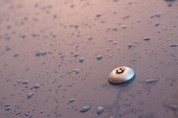 Macro of shiny metal bolt screwed in a plastic dark blue board with raindrops on it, well lit
