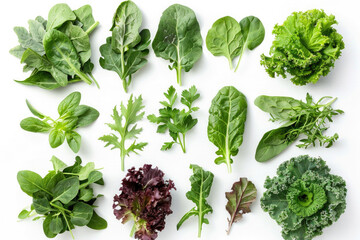 Obraz premium A variety of leafy greens arranged on a white background