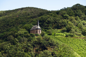 Lorchausen, Rheinsteig, Juli 2024