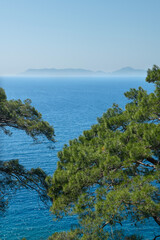 Obraz premium Bay views from green forests. View from the forest to the sea. Magnificent views from the forest to the sea. Magnificent bays of Muğla.