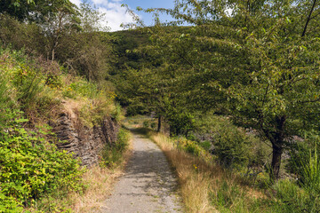 Rheinsteig bei Lorchhausen, Juli 2024