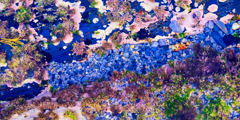 Nature Abstract Background Design