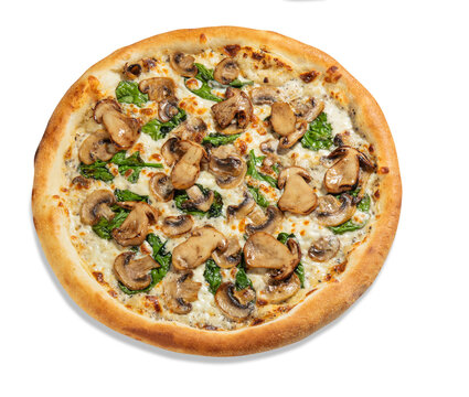 Delicious savory porcini mushroom pizza with creamy cheese sauce, champignons and green spinach, presented isolated on white background. Popular Italian style dish