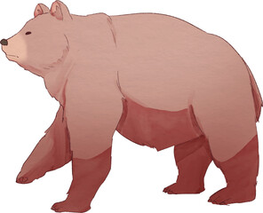 Bear Watercolor Illustration