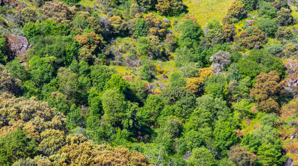 Mediterranean Forest Scrub Landscape, Arribes del Duero Natural Park, SPA, SAC, Biosphere Reserve,...
