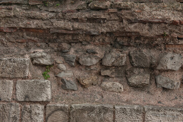 Ancient background with old brick wall and green plants