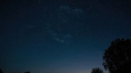 Fototapeta premium night, sky, moon, dark, star, tree, stars, landscape, nature, silhouette, full, light, forest, blue, space, moonlight, clouds, trees, christmas, black, astronomy, halloween, sunset, time, illustration
