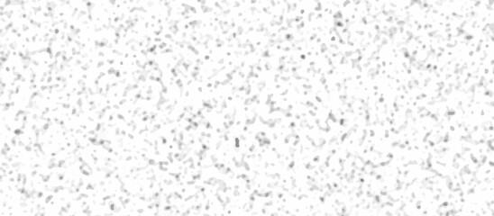 Fototapeta premium Abstract gray and white quartz terrazzo marble tile background. Terrazzo stone mosaic texture. quartz surface for bathroom or kitchen countertop. marble texture design terrazzo texture. 