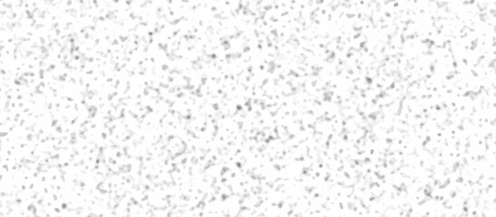 Fototapeta premium Abstract gray and white quartz terrazzo marble tile background. Terrazzo stone mosaic texture. quartz surface for bathroom or kitchen countertop. marble texture design terrazzo texture. 