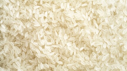 Solid texture of white uncooked rice