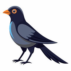 Fototapeta premium Drogo vector illustration on white background