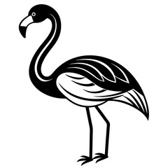 Flamingo vector silhouette 