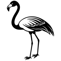Flamingo vector silhouette 