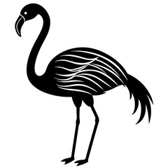 Flamingo vector silhouette 