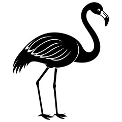 Flamingo vector silhouette 