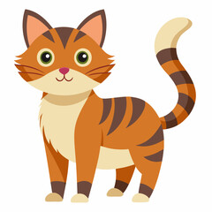 Cat vector illustration on white background