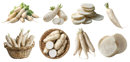 Daikon white chinese radish root vegetable, many angles and view side top front basket pile slice isolated on transparent background cutout, PNG file. Mockup template for artwork graphic design