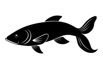  Arapaima fish silhouette vector illustration