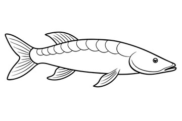 Line art of Arapaima fish vector illustration