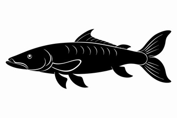  Arapaima fish silhouette vector illustration