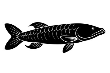  Arapaima fish silhouette vector illustration