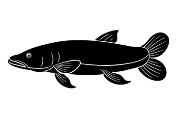  Arapaima fish silhouette vector illustration
