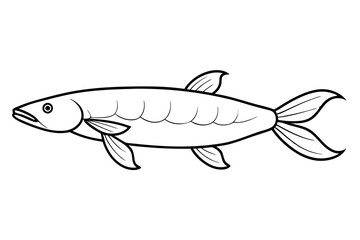 Line art of Arapaima fish vector illustration