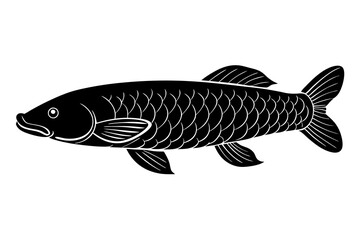  Arapaima fish silhouette vector illustration