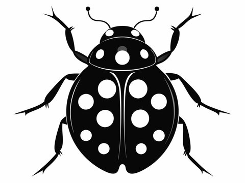 recommend clip art: ladybug icon, ladybug silhouette vector illustration
                    
                    
                    