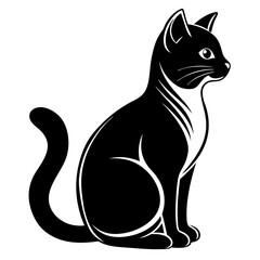 black and white cat