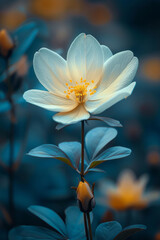 Naklejka premium Macro shot of a single cartoon flower in a minimalist field, with soft colors and simple shapes,