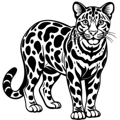 Fierce Tiger Logo Design - Bold and Modern Wildcat Emblem