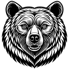  bear face logo, black bear logo, baby bear logo, bear vector,