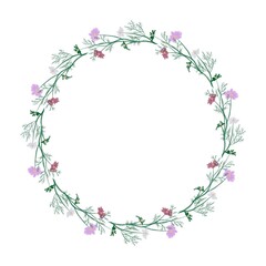 cosmos frame and birder flower illustration circle for design needs