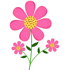 pink flower isolated