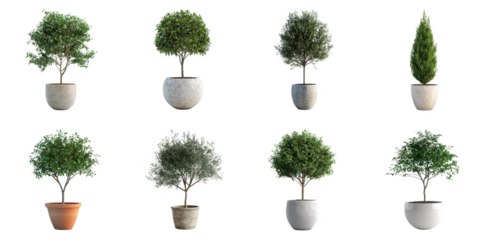 Plant pot isolated 3d mockup without background using for all purpose.
