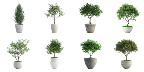 Plant pot png set collection in 3d transparent no background in nature concept.