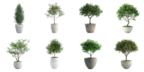 Plant pot png set collection in 3d transparent no background in nature concept.