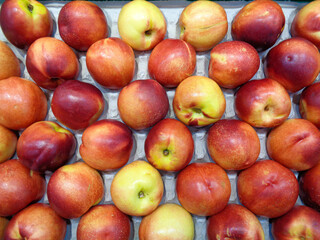 frutas en exposición para su venta