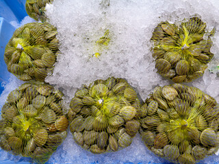 almejas en exposición para su venta en mercado