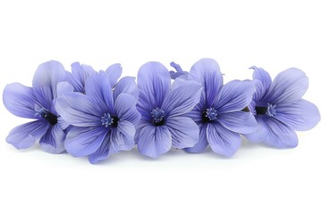 Obraz premium Artistic display of blue flowers on a light background