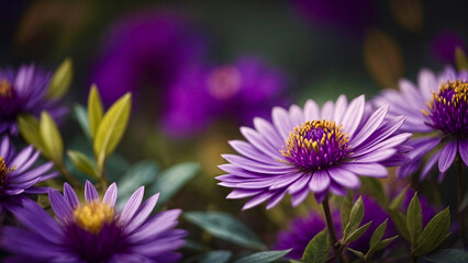 Obraz premium close up of a purple flower