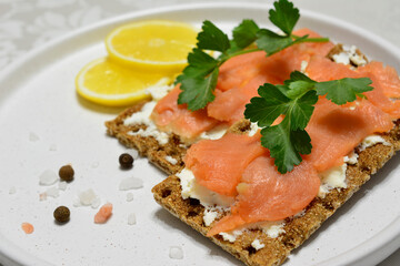 a plate with salmon toasts on it isolated close up