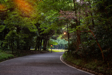 Park in the middle of Tokyo